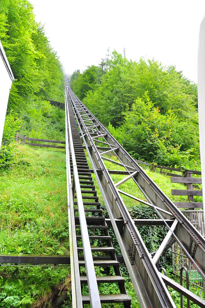 DSC_1606.JPG DSC_1606.JPG