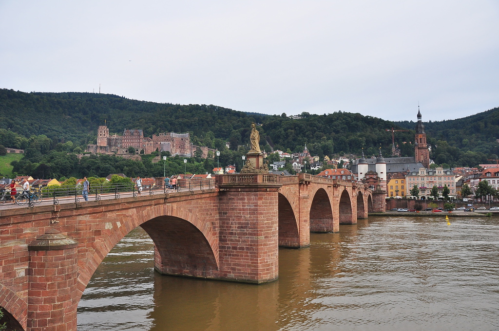 DSC_0061.JPG DSC_0061.JPG