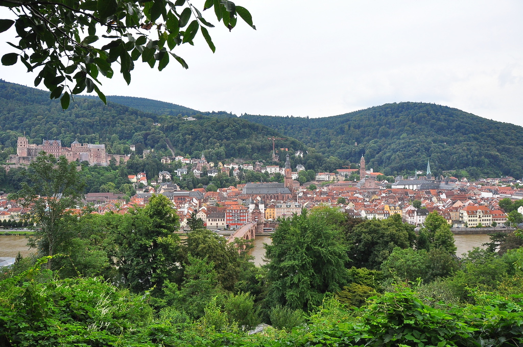 DSC_0070.JPG DSC_0070.JPG