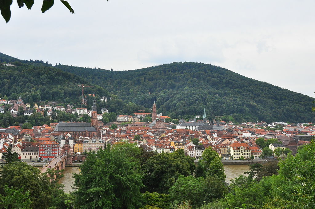 DSC_0071.JPG DSC_0071.JPG