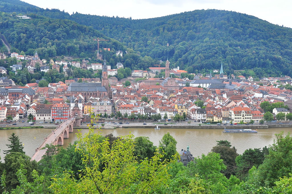 DSC_0076.JPG DSC_0076.JPG