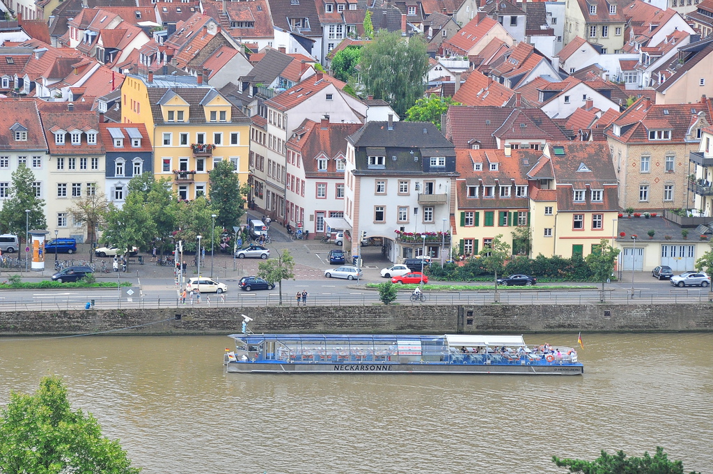 DSC_0079.JPG DSC_0079.JPG