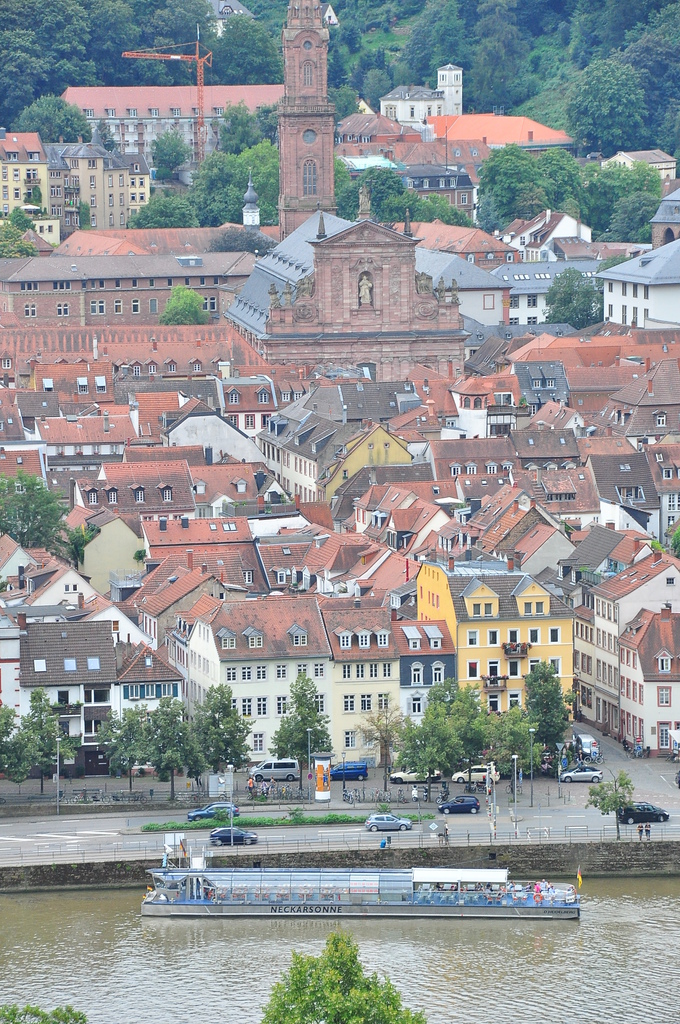 DSC_0081.JPG DSC_0081.JPG