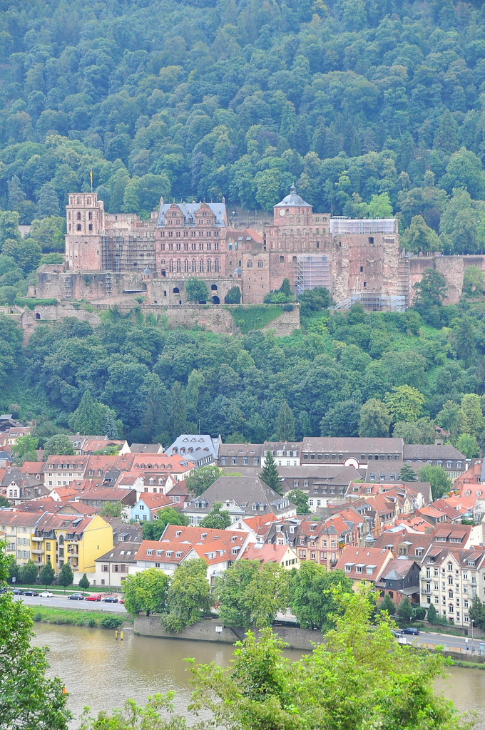 DSC_0083.JPG DSC_0083.JPG