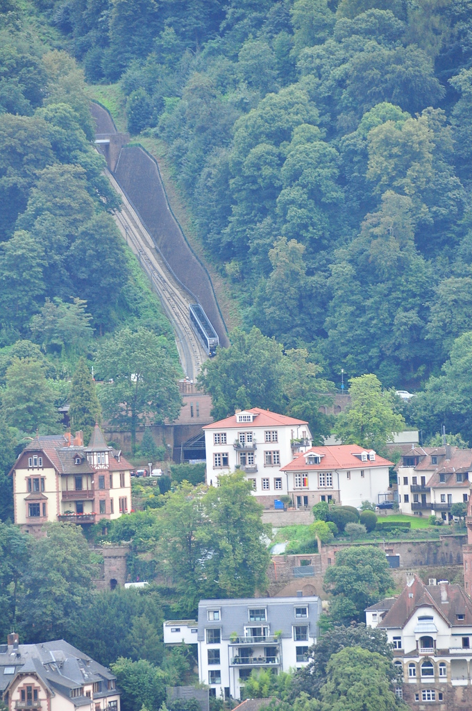 DSC_0084.JPG DSC_0084.JPG