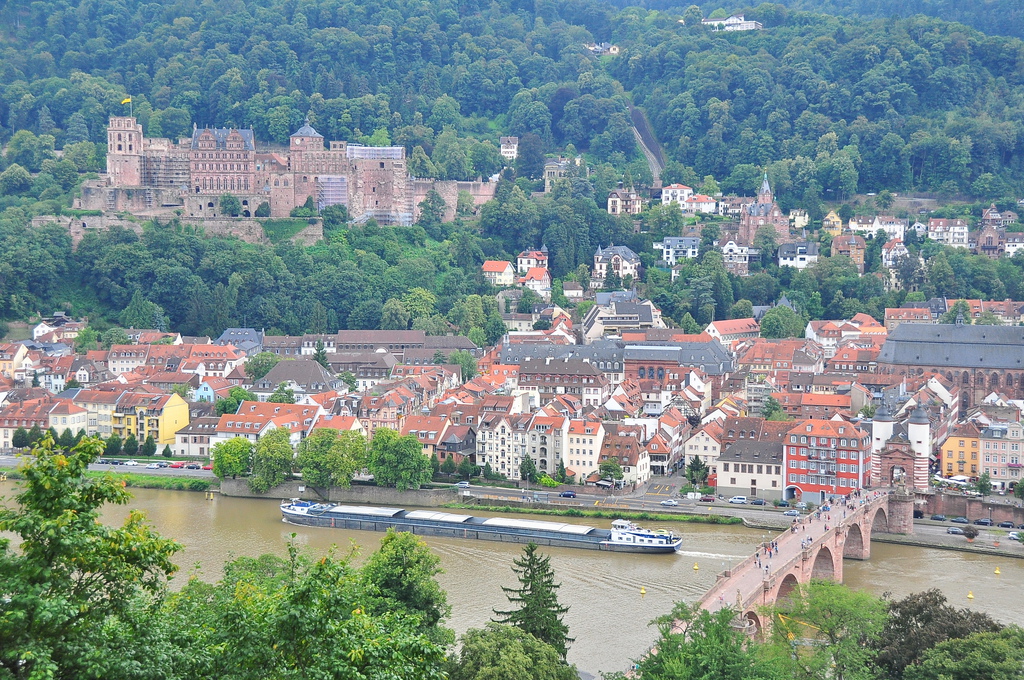 DSC_0087.JPG DSC_0087.JPG