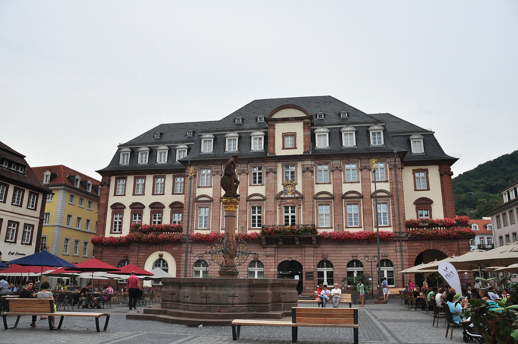 DSC_0112.JPG DSC_0112.JPG