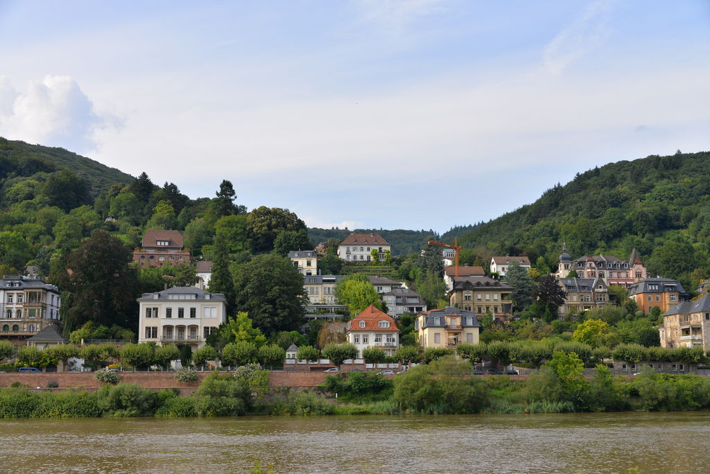 DSC_5074.JPG DSC_5074.JPG