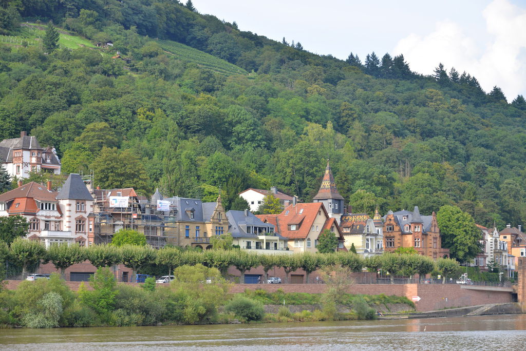 DSC_5075.JPG DSC_5075.JPG