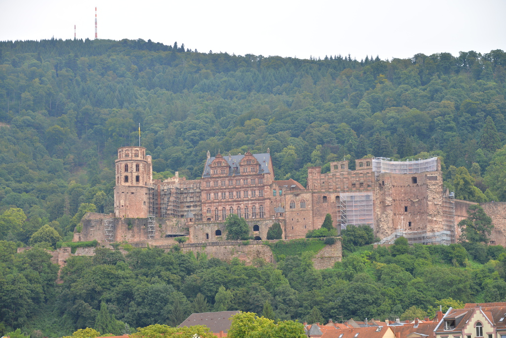 DSC_5110.JPG DSC_5110.JPG