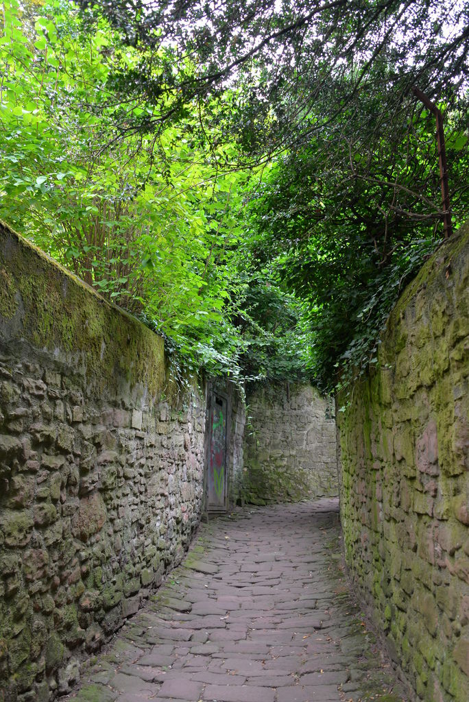 DSC_5114.JPG DSC_5114.JPG