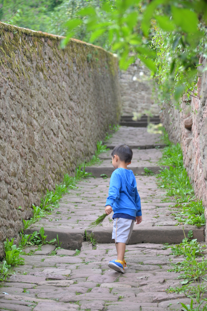 DSC_5117.JPG DSC_5117.JPG