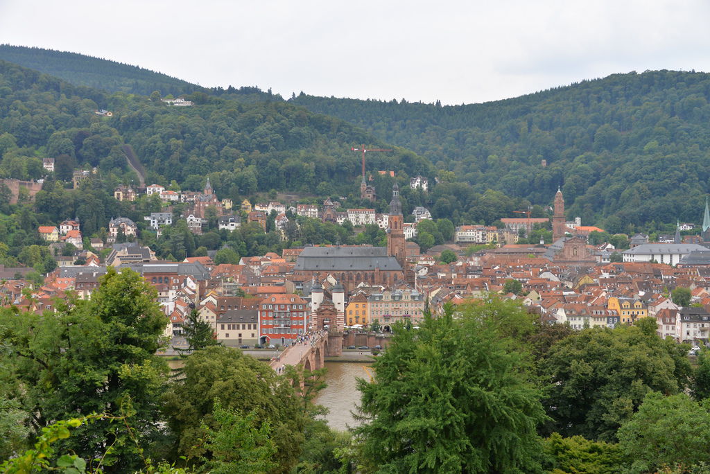 DSC_5121.JPG DSC_5121.JPG