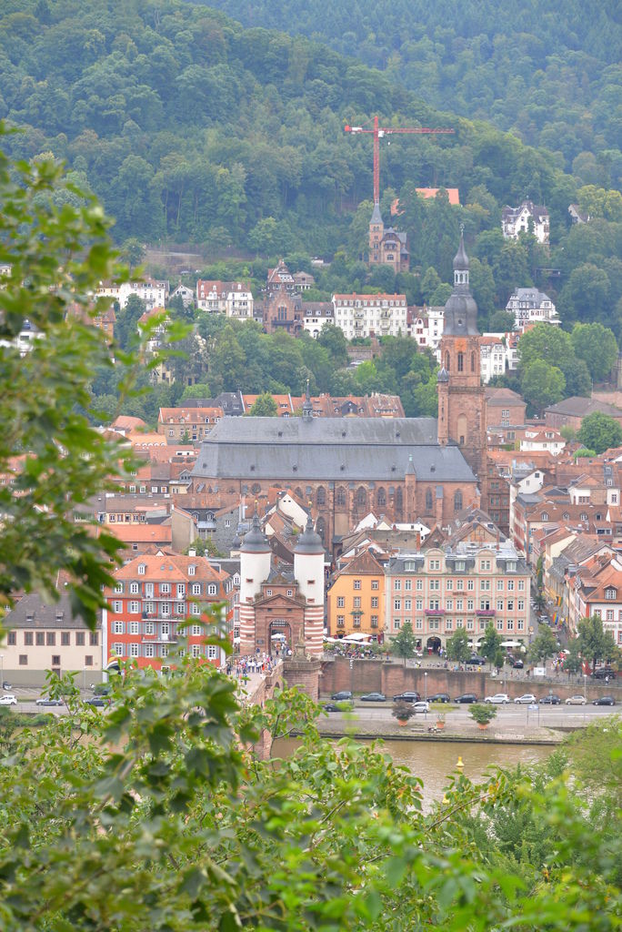 DSC_5125.JPG DSC_5125.JPG