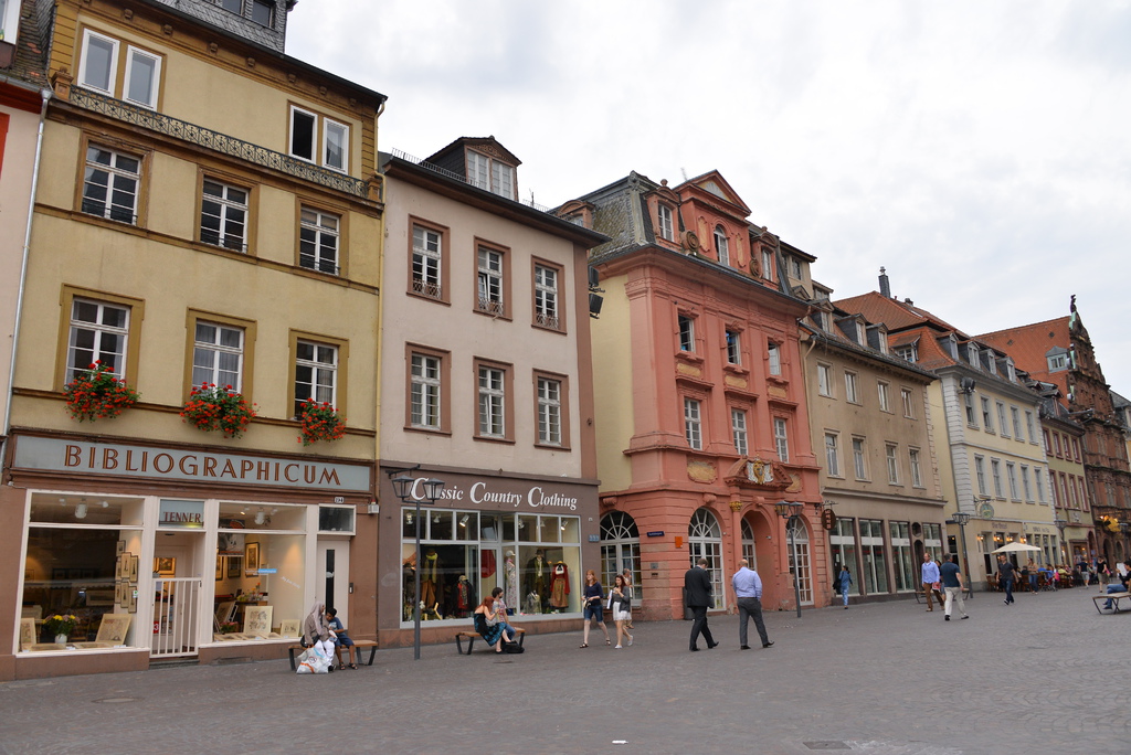 DSC_5153.JPG DSC_5153.JPG