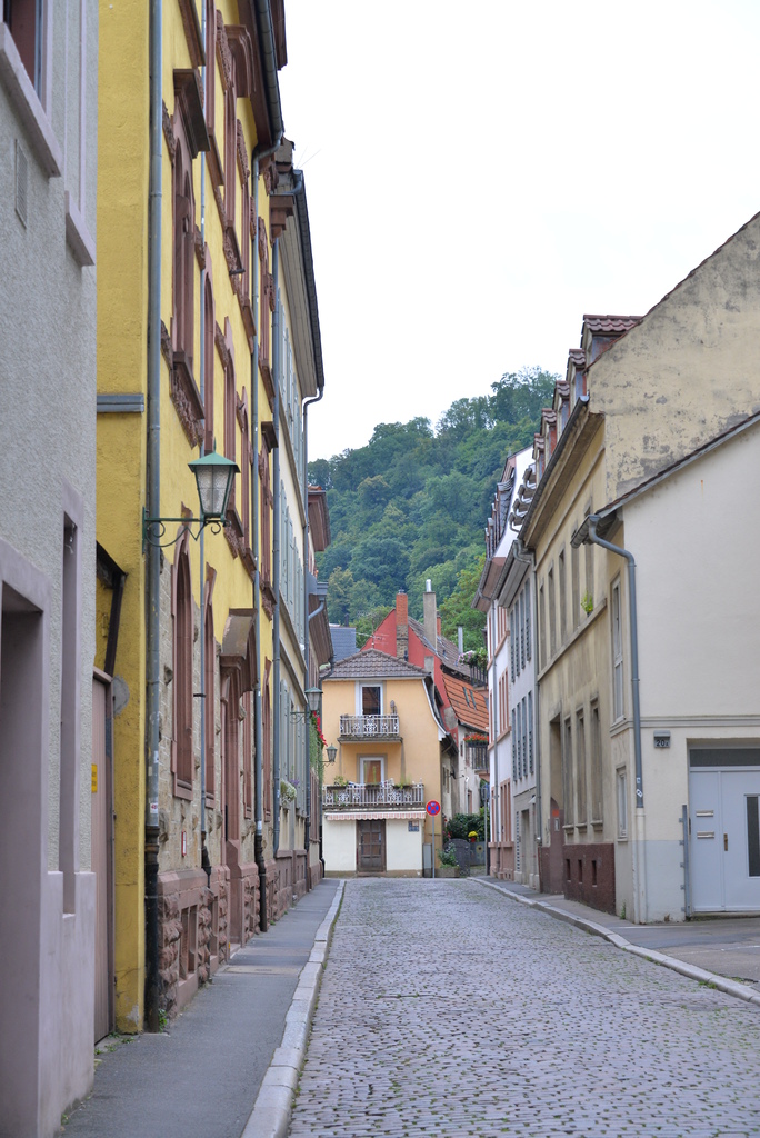 DSC_5157.JPG DSC_5157.JPG