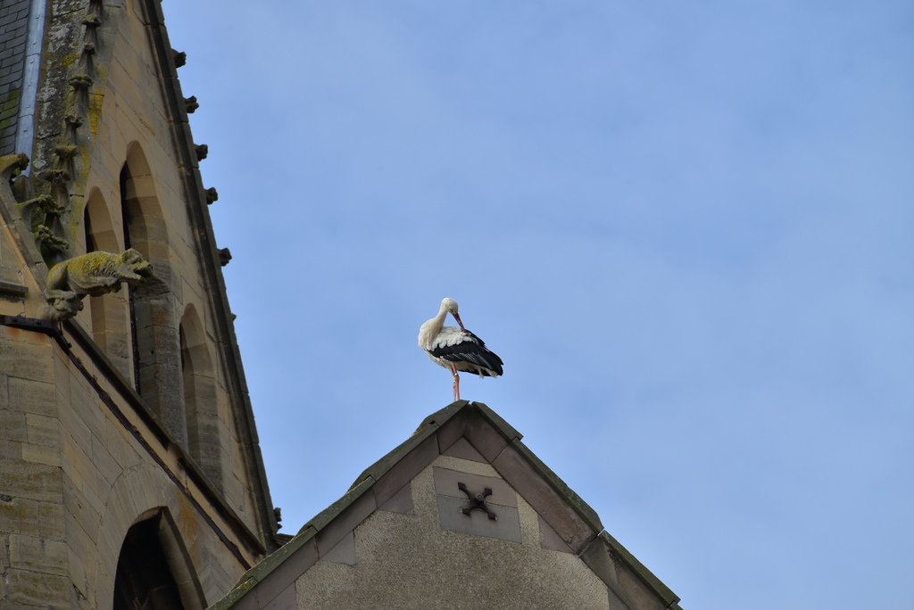 DSC_5478