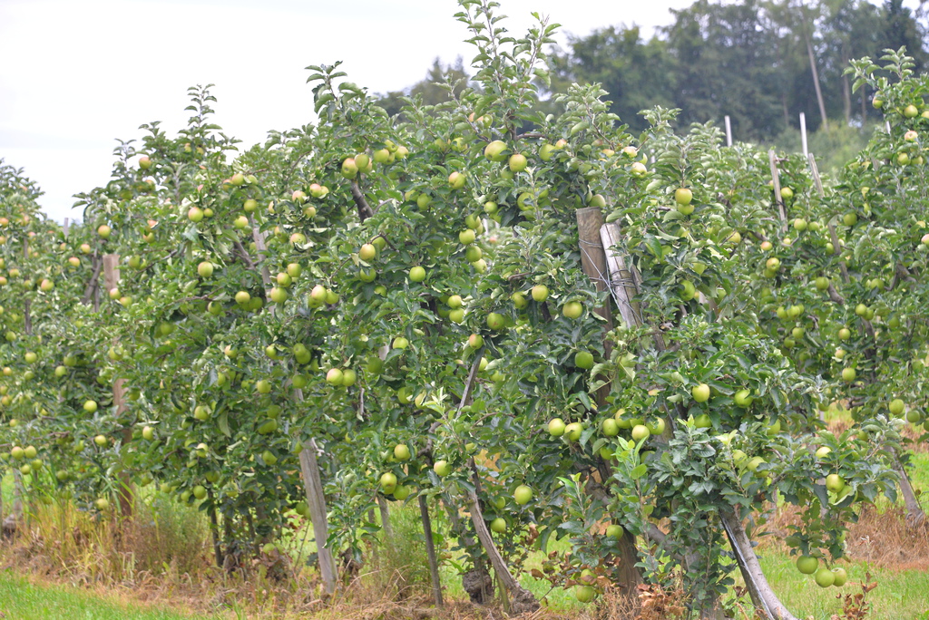 DSC_5726.JPG DSC_5726.JPG