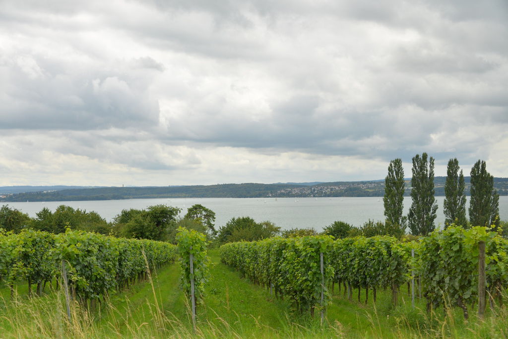 DSC_5734.JPG DSC_5734.JPG