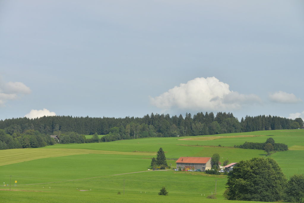 DSC_5828