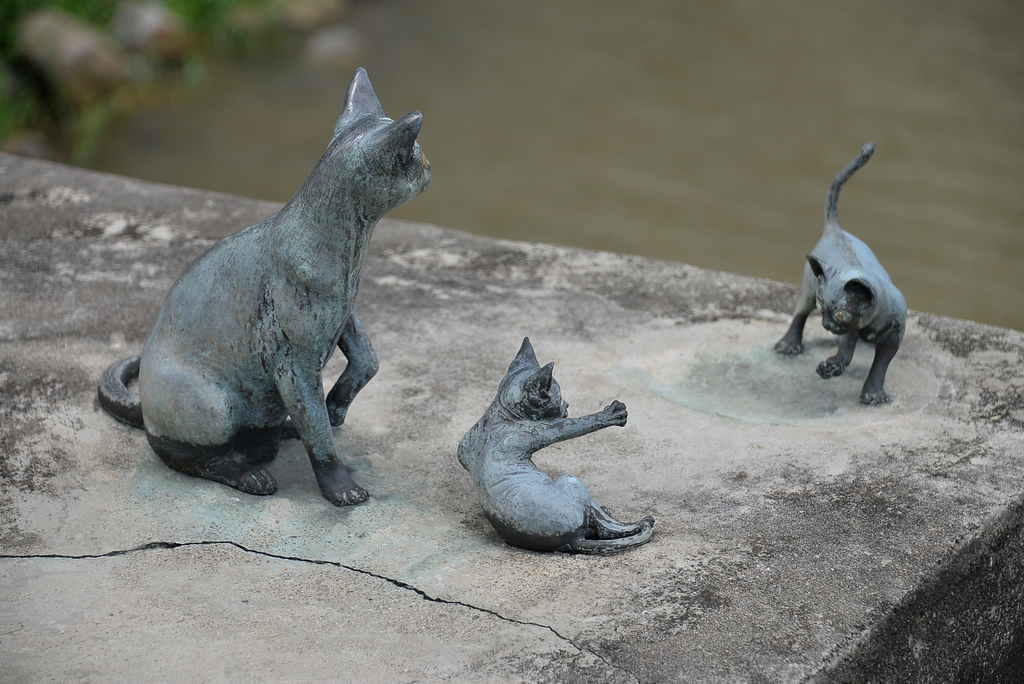 DSC_0006.JPG DSC_0006.JPG