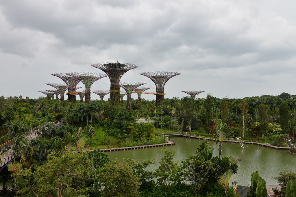 DSC_0052.JPG DSC_0052.JPG