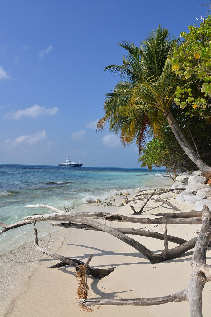 DSC_0560.JPG DSC_0560.JPG