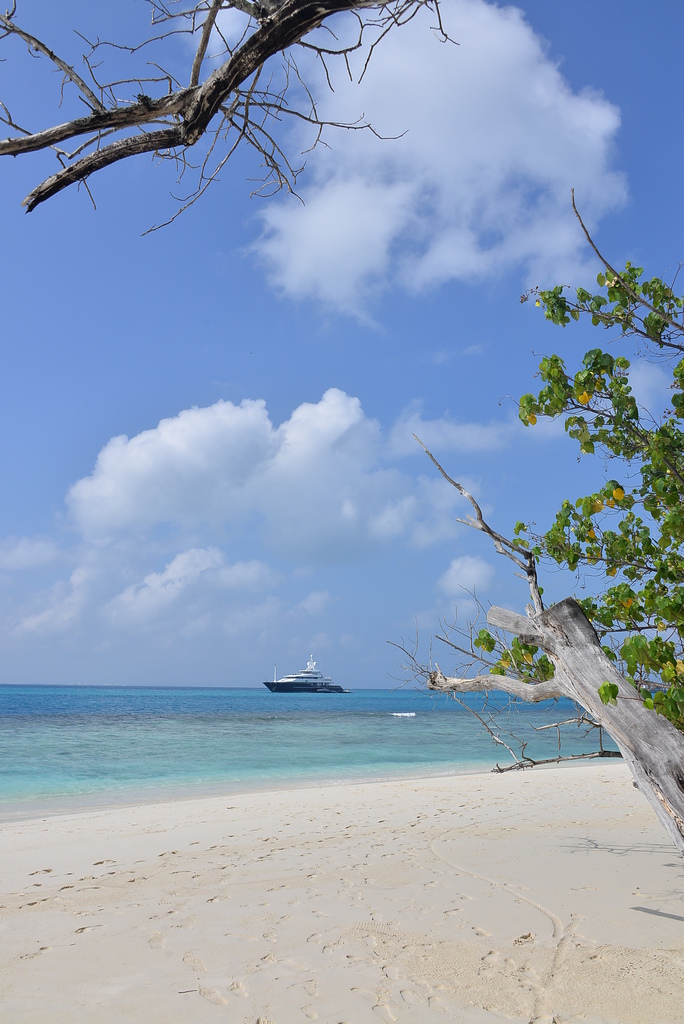 DSC_0573.JPG DSC_0573.JPG