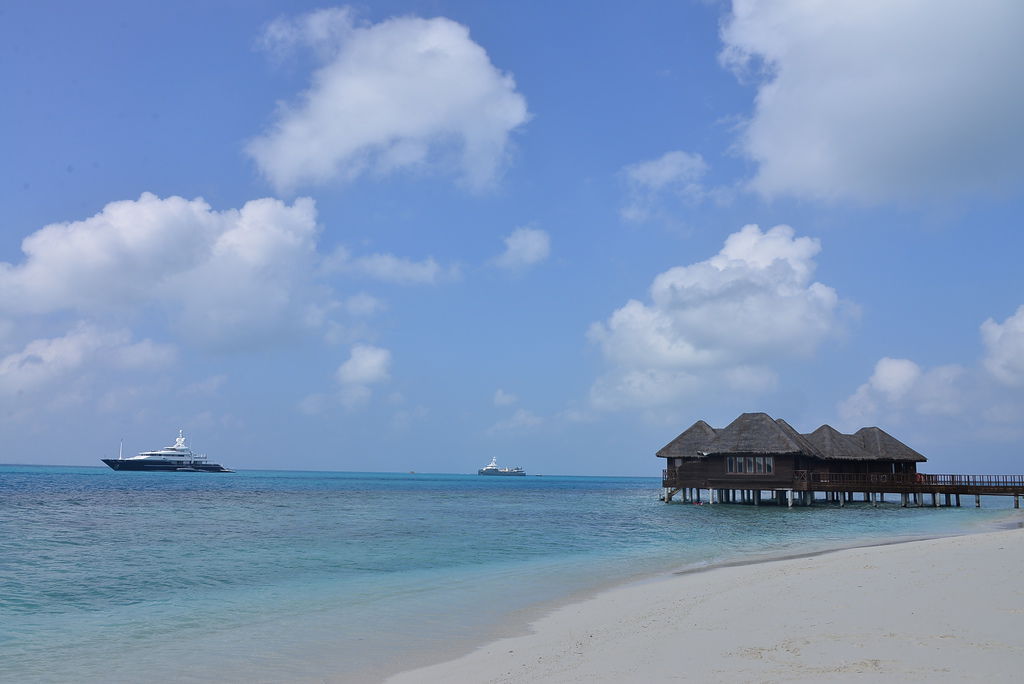 DSC_0575.JPG DSC_0575.JPG