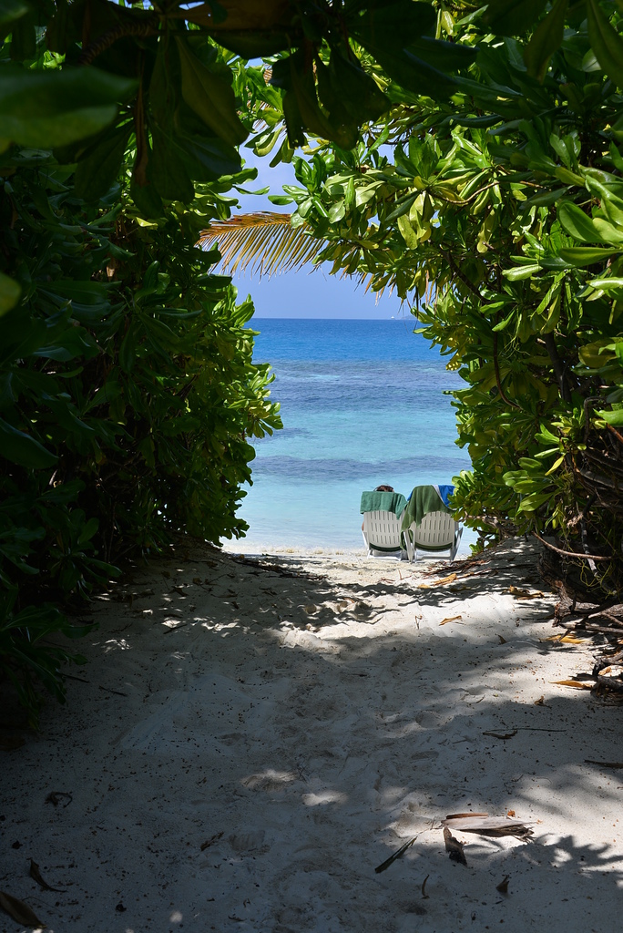 DSC_0628.JPG DSC_0628.JPG