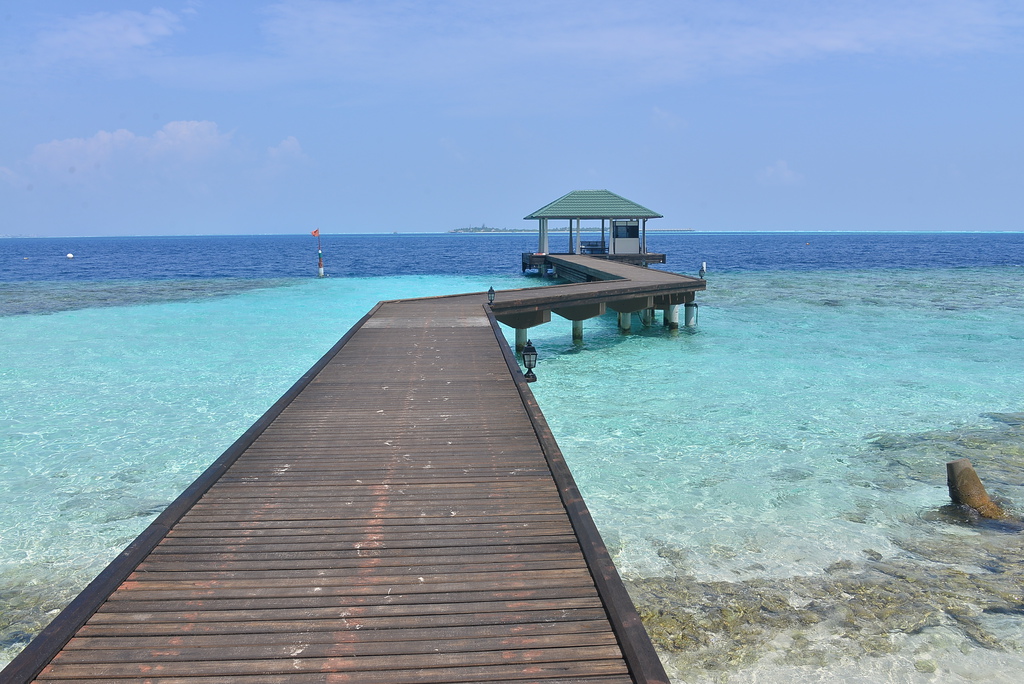 DSC_1064.JPG DSC_1064.JPG