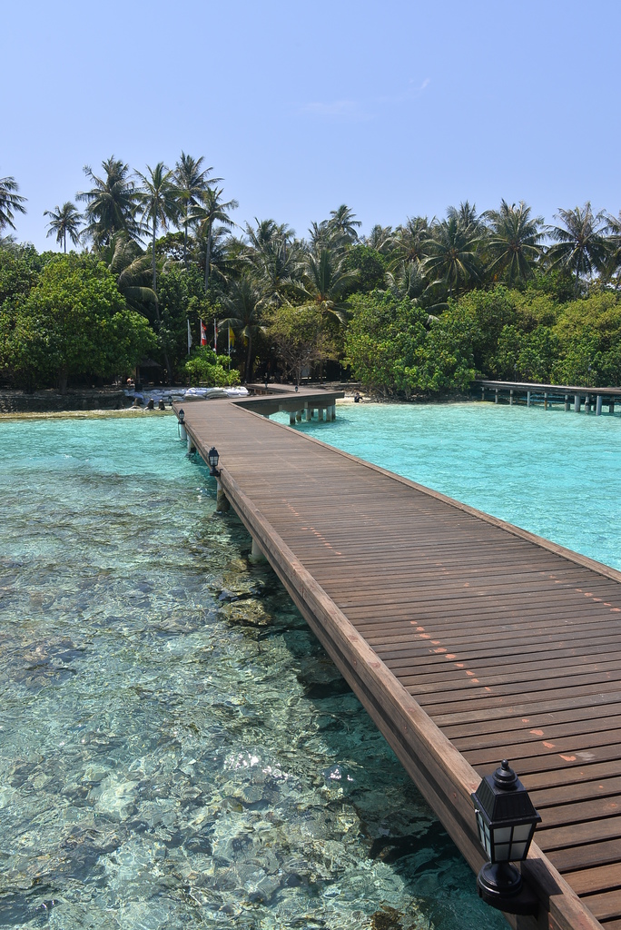 DSC_1071.JPG DSC_1071.JPG