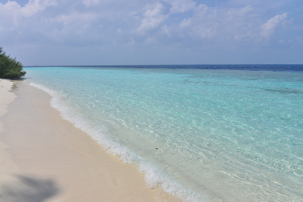 DSC_1161.JPG DSC_1161.JPG