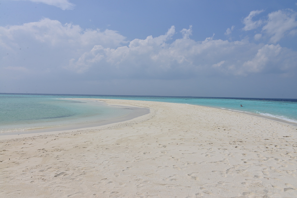 DSC_1164.JPG DSC_1164.JPG