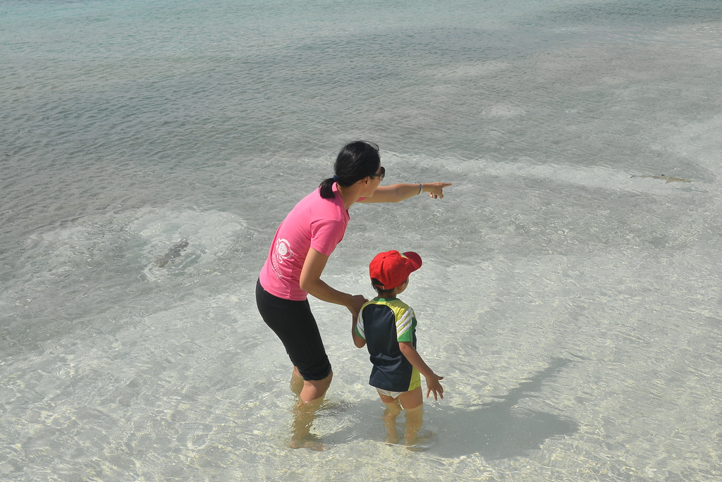 DSC_1212.JPG DSC_1212.JPG