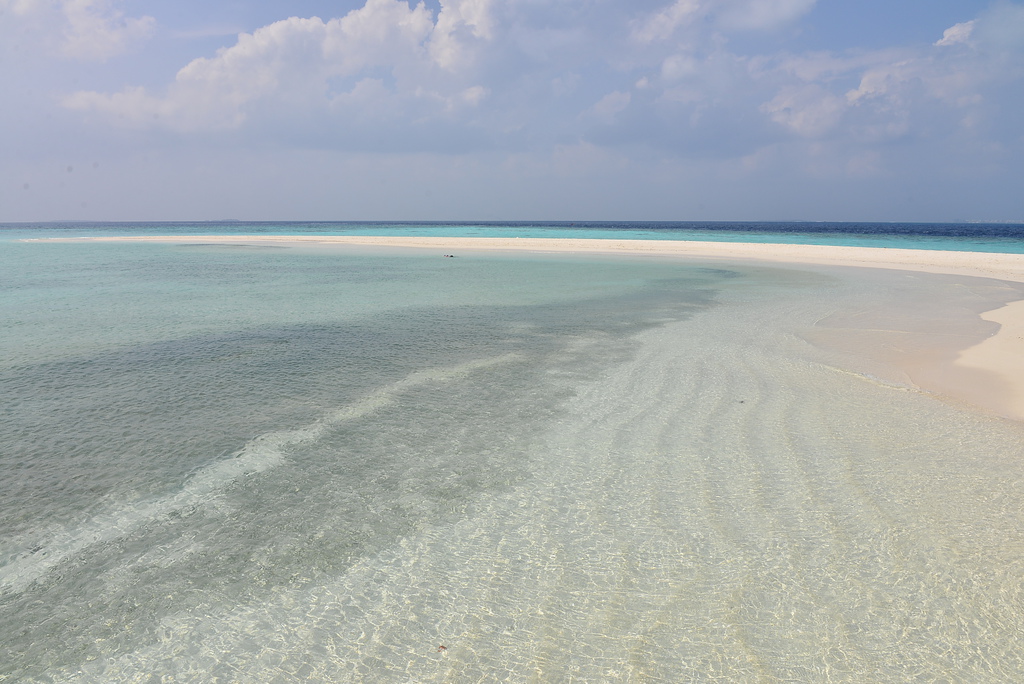 DSC_1266.JPG DSC_1266.JPG