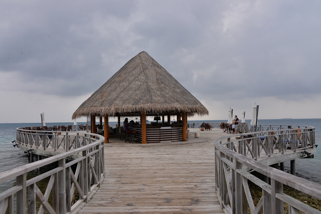 DSC_0313.JPG DSC_0313.JPG