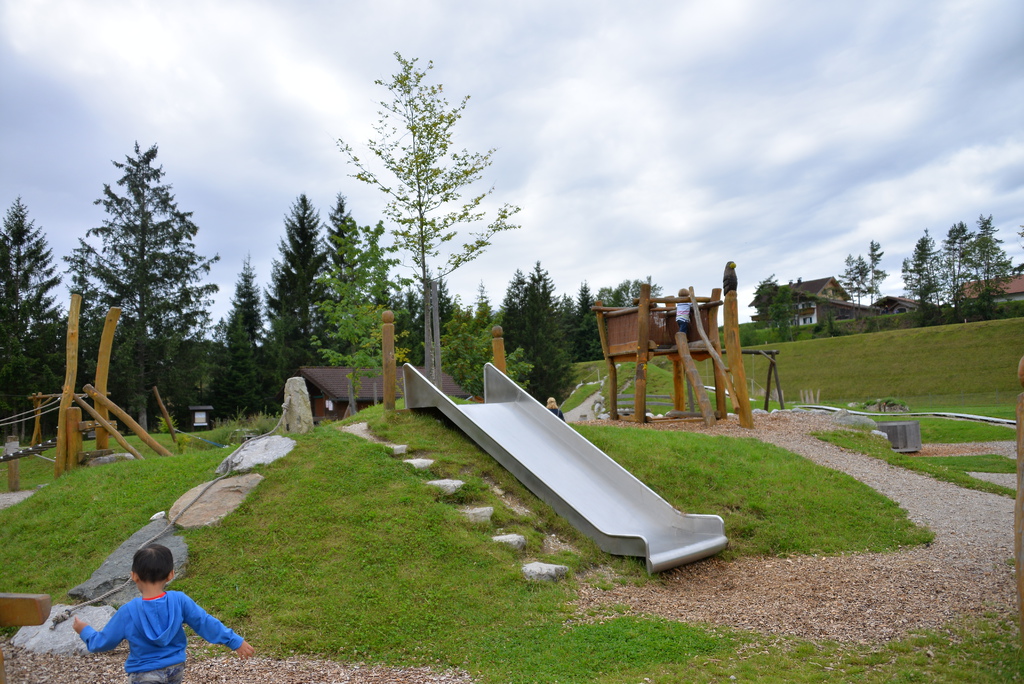 DSC_6342.JPG DSC_6342.JPG