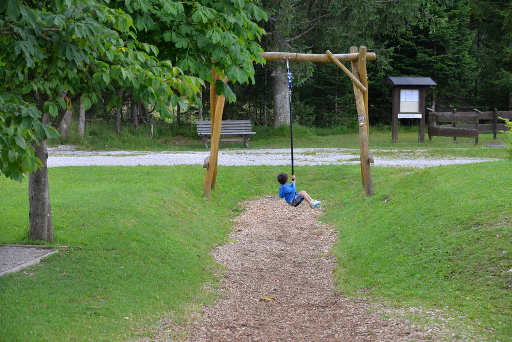 DSC_6454.JPG DSC_6454.JPG