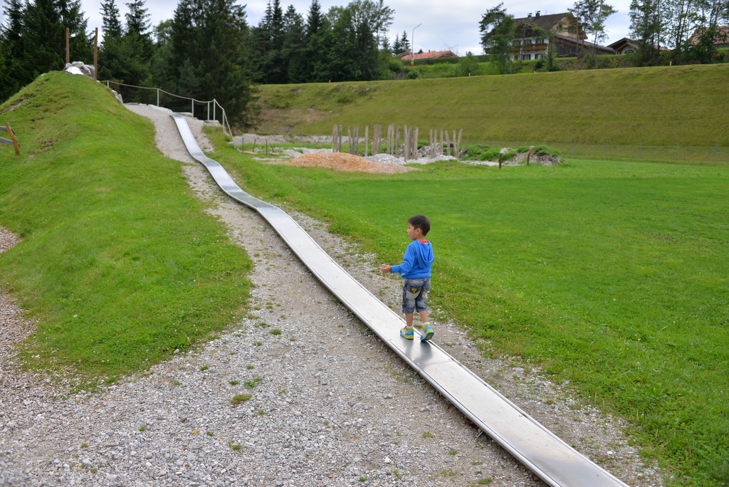 DSC_6437.JPG DSC_6437.JPG