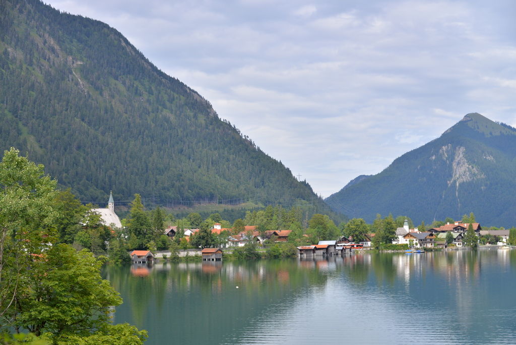 DSC_6470.JPG DSC_6470.JPG