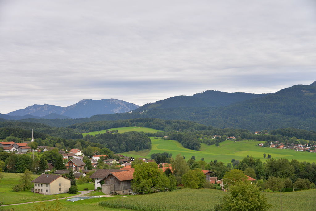 DSC_6478.JPG DSC_6478.JPG