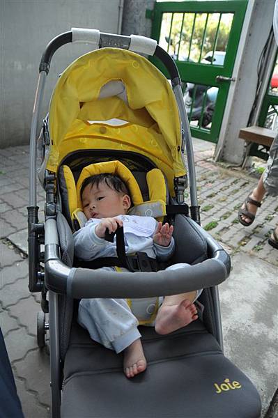 DSC_0238.JPG DSC_0238.JPG