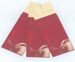 支票型紅包袋.jpg 支票型紅包袋.jpg