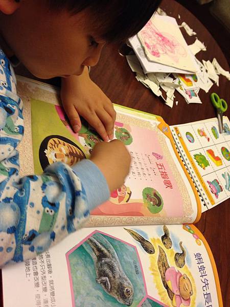 1896815_10201481218144464_141597569_n