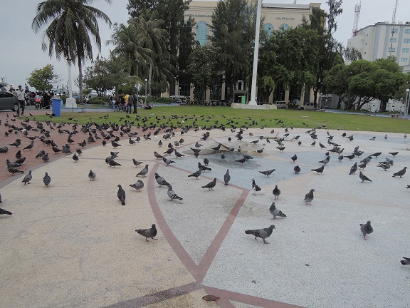DSCN2423 DSCN2423