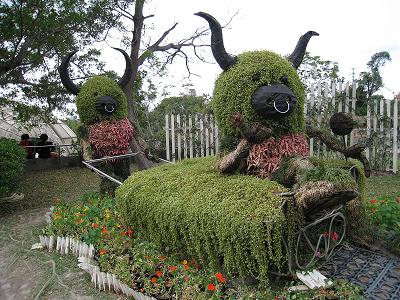 玫瑰花展.JPG 玫瑰花展.JPG