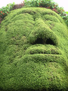 玫瑰花展2.JPG 玫瑰花展2.JPG