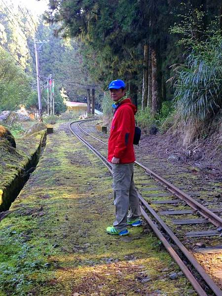 10002794_701359016553421_1682952987_n