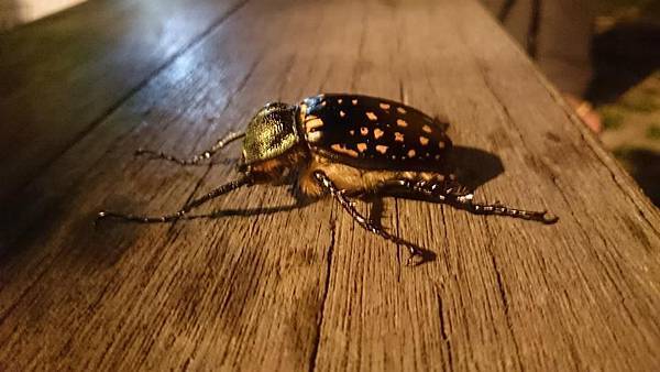 10430821_807258935960033_5409141232053041827_n